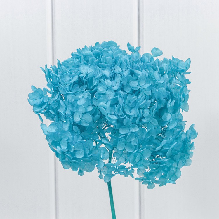 420063/3 Сухоцвет "Гортензия" 55см Голубой 1/1 1/100