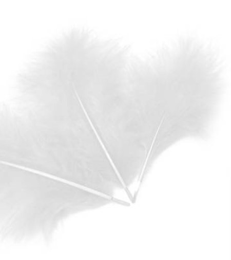 1501-4203 Перья декоративные Белые 10см 30шт/G