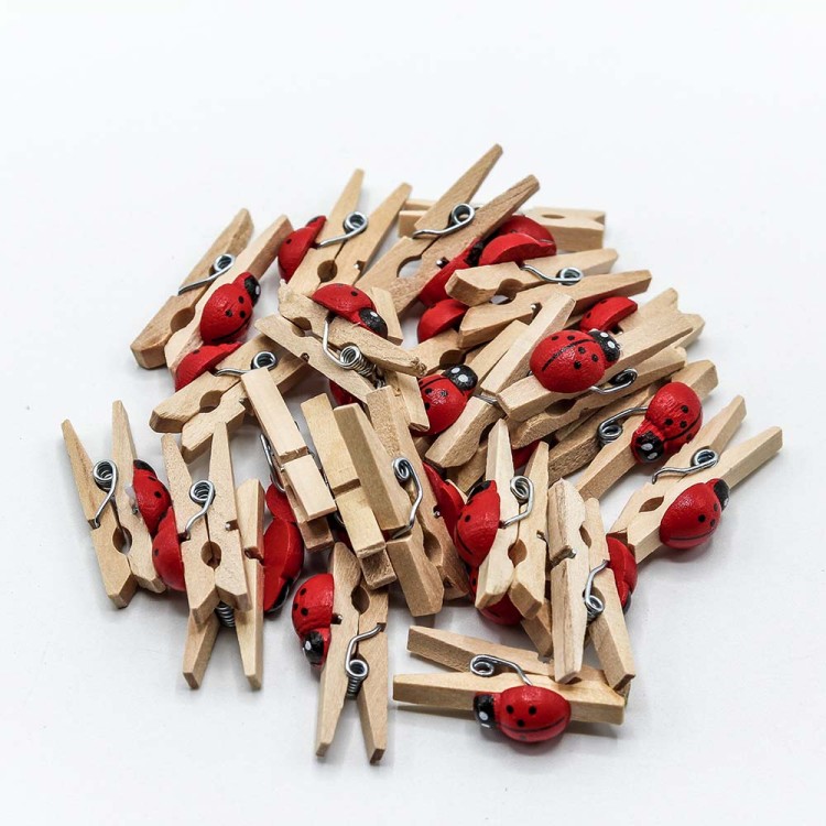 260025 Прищепки декоративные Божья коровка 3 см*1 см (100 штук) 1/240 